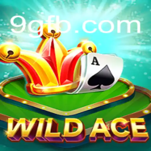 WildAce: Um Mergulho nos Desafios de 9G.NET