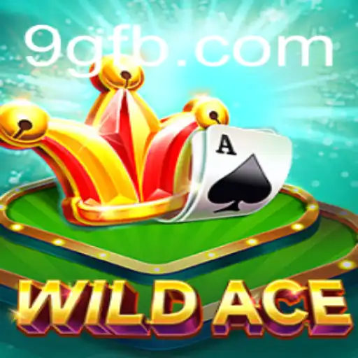 WildAce: Um Mergulho nos Desafios de 9G.NET